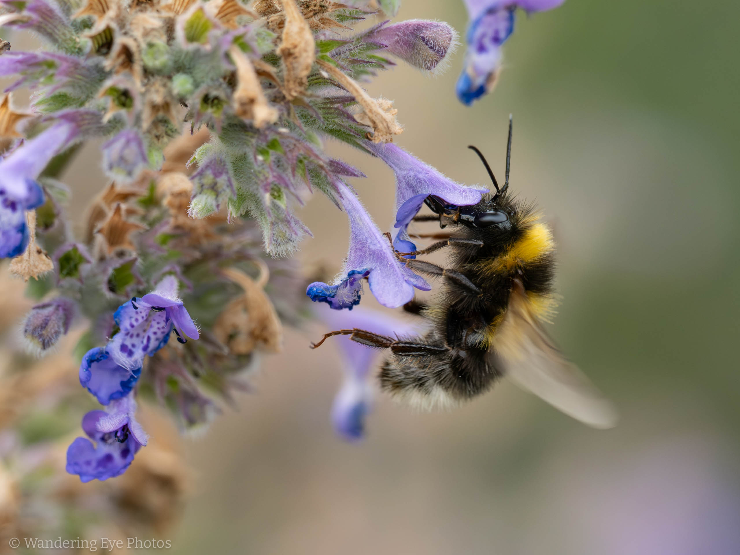 07.03 17.37.18 P7030173